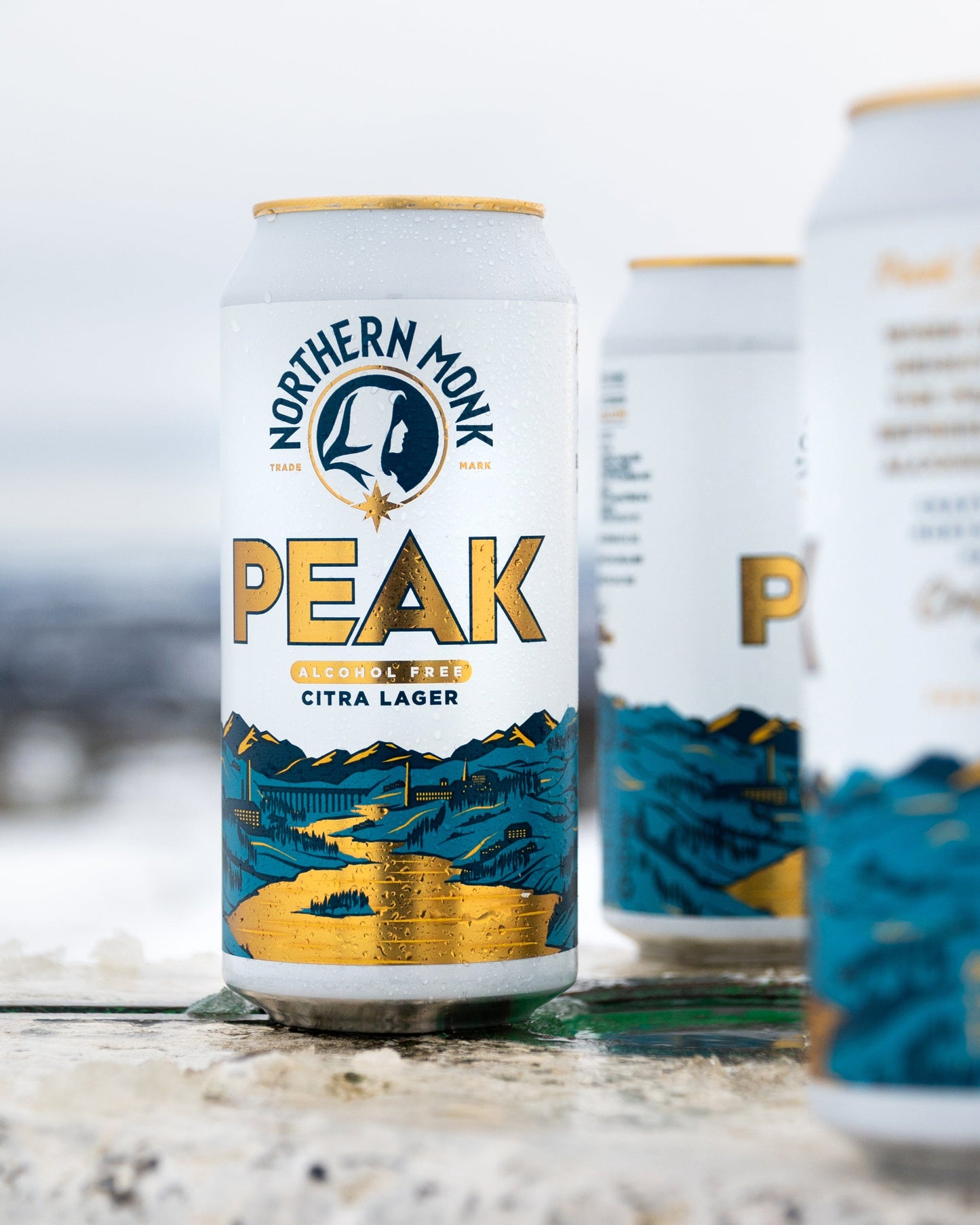 4 PACK // PEAK // ALCOHOL-FREE CITRA LAGER // 0.5%