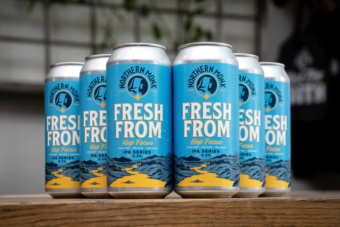 6 PACK // FRESH FROM TWELVE // CRYO POP, NELSON, EKUANOT // IPA // 5.3%