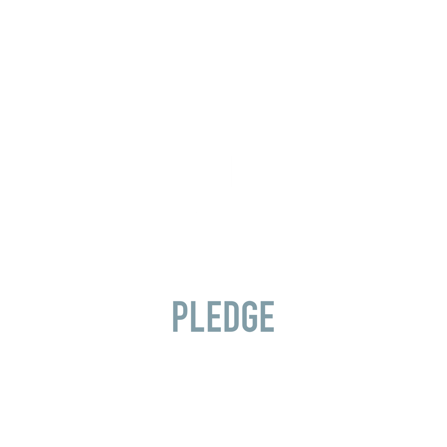 PLEDGE BOX - UK ONLY